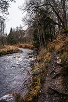 Fotos-Eifel-Hohes-Venn