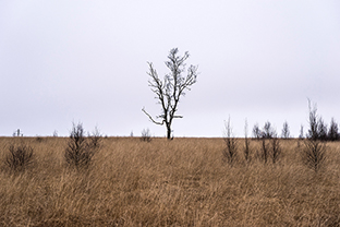 Fotos-Eifel-Hohes-Venn
