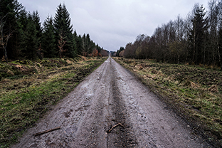 Fotos-Eifel-Hohes-Venn