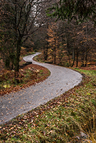 Fotos-Eifel-Hohes-Venn