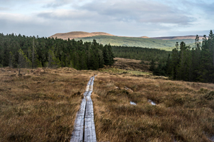 Fotos-Western-Way-Irland
