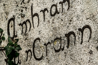 Fotos-Western-Way-Irland