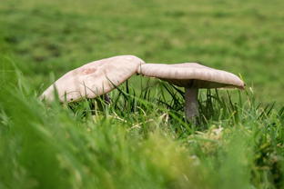 Fotos-Western-Way-Irland