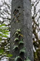 Fotos-Western-Way-Irland