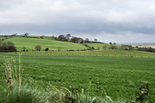 Fotos-Western-Way-Irland