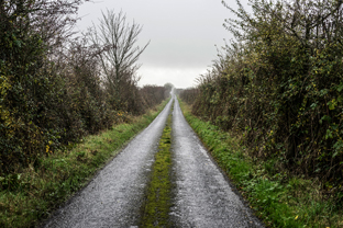 Fotos-Western-Way-Irland