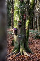 Fotos-Western-Way-Irland