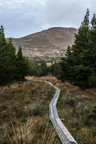 Fotos-Western-Way-Irland