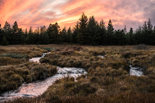 Fotos-Western-Way-Irland