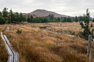 Fotos-Western-Way-Irland