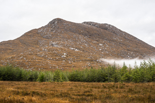 Fotos-Western-Way-Irland