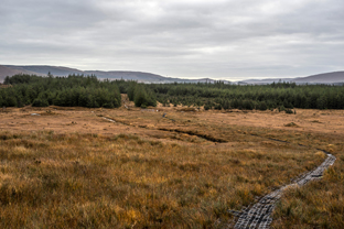 Fotos-Western-Way-Irland