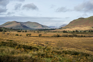 Fotos-Western-Way-Irland