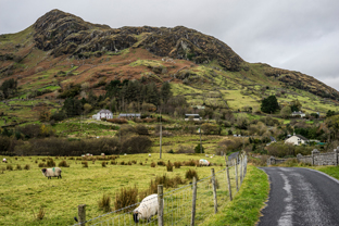 Fotos-Western-Way-Irland