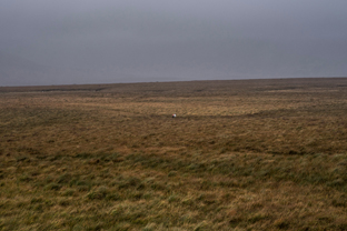 Fotos-Western-Way-Irland