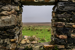 Fotos-Western-Way-Irland