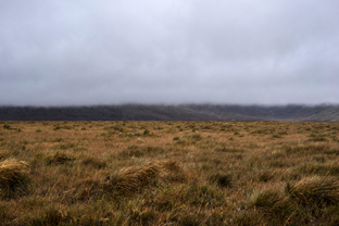 Fotos-Western-Way-Irland