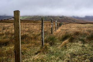 Fotos-Western-Way-Irland