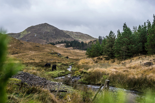 Fotos-Western-Way-Irland