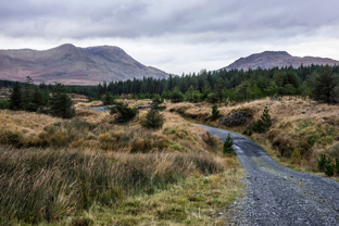 Fotos-Western-Way-Irland