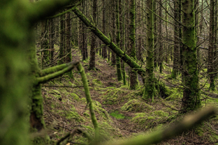 Fotos-Western-Way-Irland