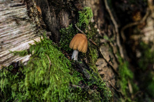 Fotos-Western-Way-Irland