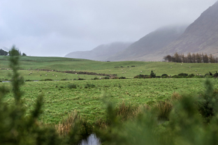 Fotos-Western-Way-Irland