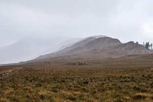 Fotos-Western-Way-Irland