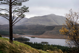 Fotos-Western-Way-Irland