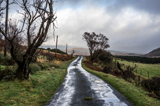 Fotos-Western-Way-Irland