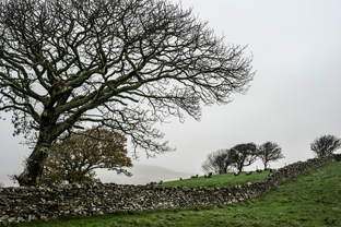Fotos-Western-Way-Irland