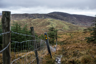 Fotos-Western-Way-Irland