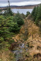 Fotos-Western-Way-Irland