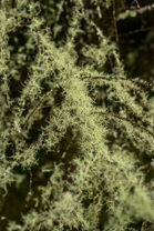 Fotos-Western-Way-Irland