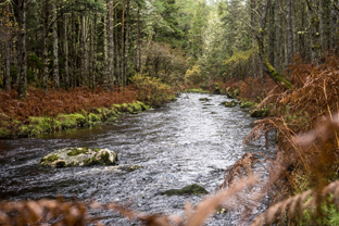 Fotos-Western-Way-Irland