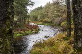 Fotos-Western-Way-Irland