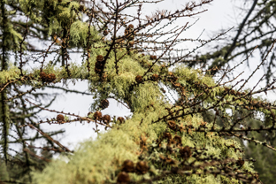 Fotos-Western-Way-Irland