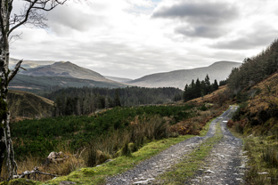Fotos-Western-Way-Irland