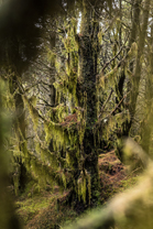 Fotos-Western-Way-Irland