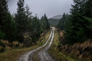 Fotos-Western-Way-Irland