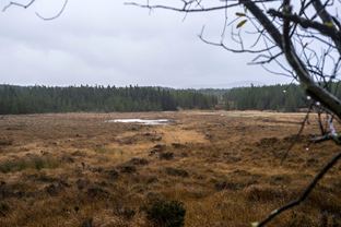 Fotos-Western-Way-Irland