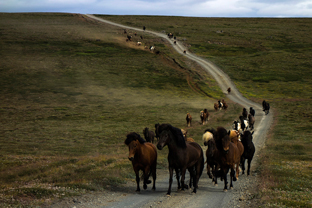 Fotos-Radreise-Island