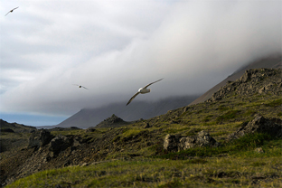 Fotos-Radreise-Island