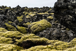 Fotos-Radreise-Island