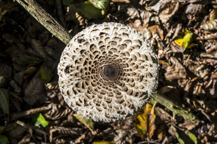 Fotos-Nationalpark-Kellerwald
