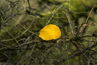 Fotos-Nationalpark-Kellerwald
