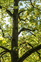 Fotos-Nationalpark-Kellerwald