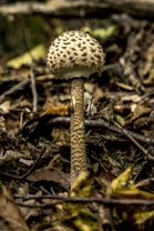 Fotos-Nationalpark-Kellerwald