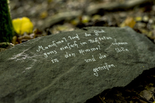 Fotos-Nationalpark-Kellerwald