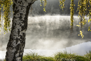 Fotos-Nationalpark-Kellerwald